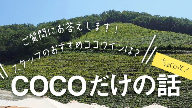 袁博涵的炭火梦
