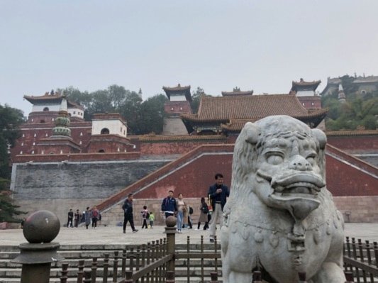 董路统管中国青训，可行吗？