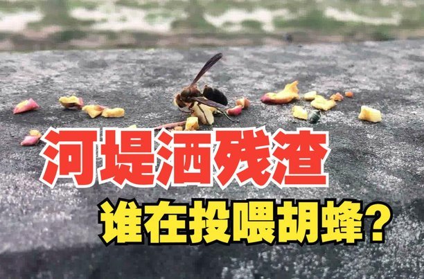 塞尔：最近2场比赛加维被放到左路，其新角色引发议论
