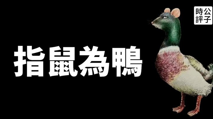 隔壁cba快倒闭的样子，外援全跑了，赞助商也没几个