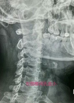 蓉城官方：对申花赛前一名观众突发晕倒，经抢救无效离世